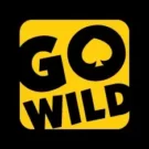 Go Wild Casino review 2025: Should you give it a spin?